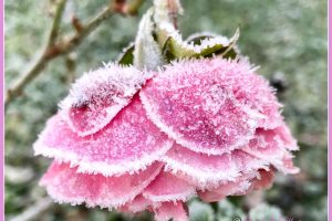 Winterzauber