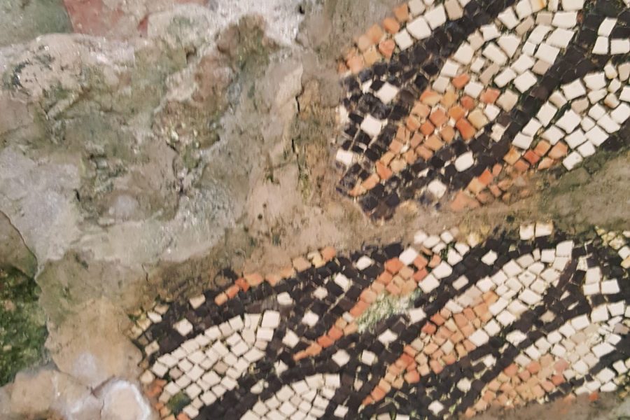 Foto. Roswitha Faist