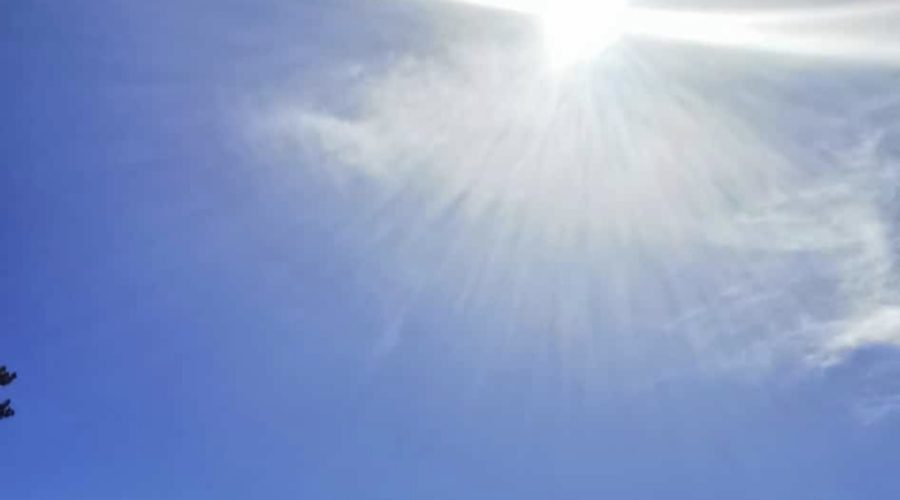 In der Vergebung liegt die Kraft der Liebe zur Wahrheit.