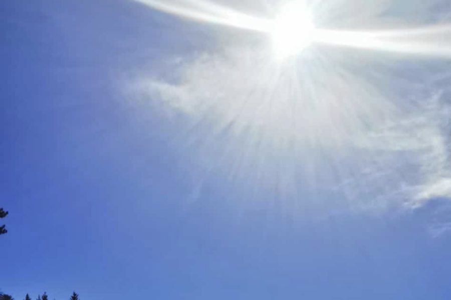 In der Vergebung liegt die Kraft der Liebe zur Wahrheit.